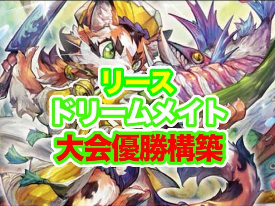 デュエルマスターズ リースドリームメイト 大会優勝構築　調整パーツ付き