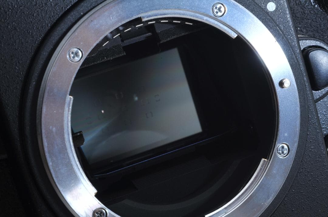 ■美品■ ニコン Nikon F6 ボディ