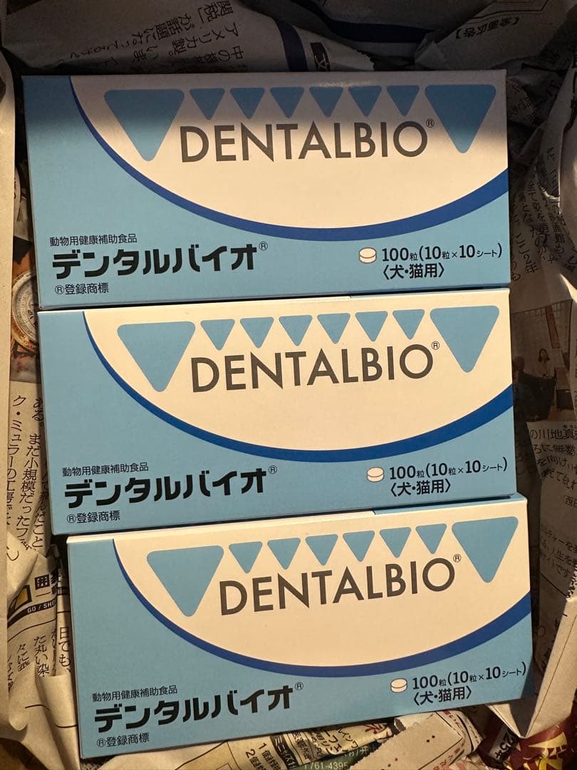 DENTALBIO デンタルバイオ 100枚入り×5箱
