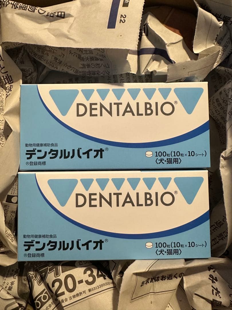 DENTALBIO デンタルバイオ 100枚入り×5箱