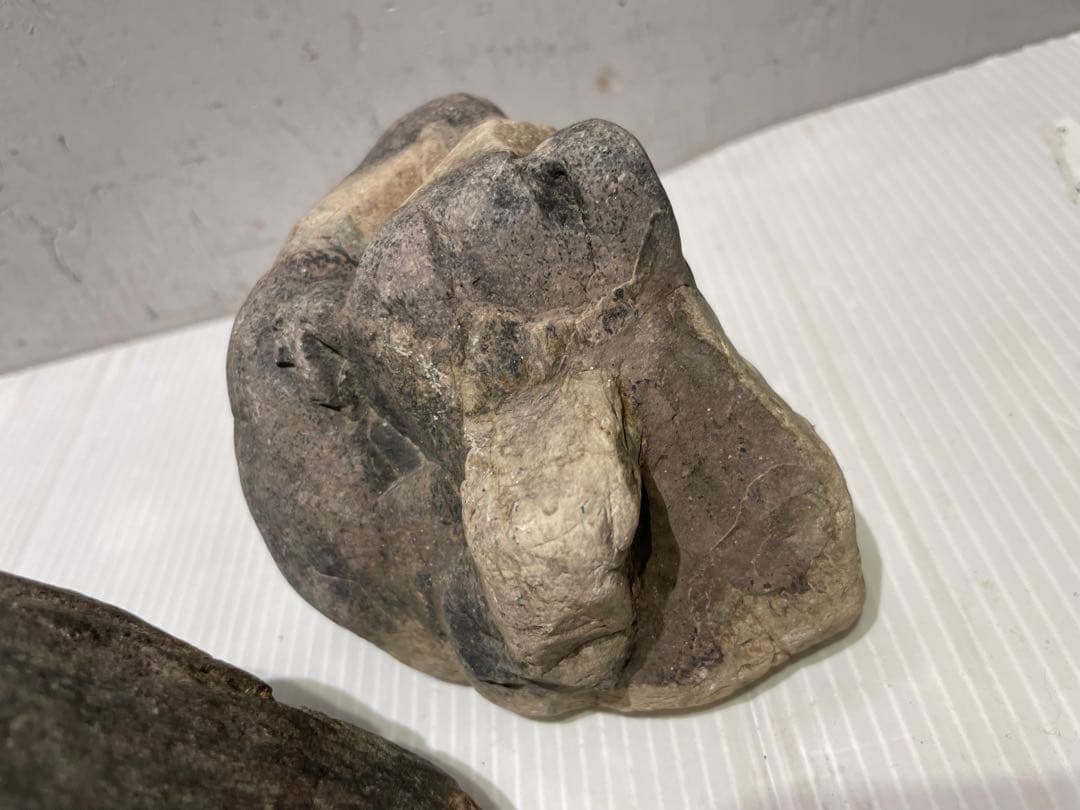 美品　鳥取県　佐治石　原石　おまとめセット石　マニア必見　希少品　早い者勝ち