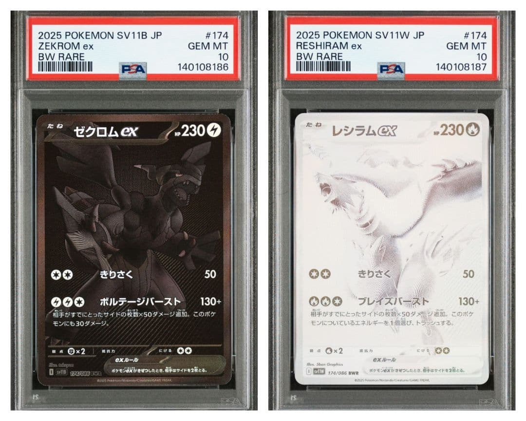 【PSA10 連番】ゼクロムex レシラムex BWR 174