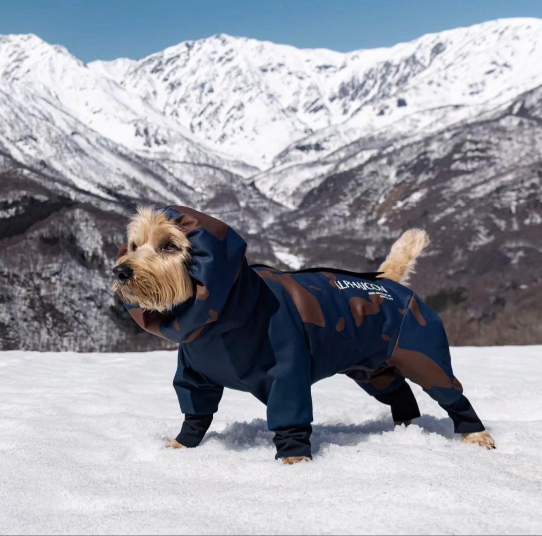 アルファアイコン　ドッグガードエア　スノードッグガード　DXM