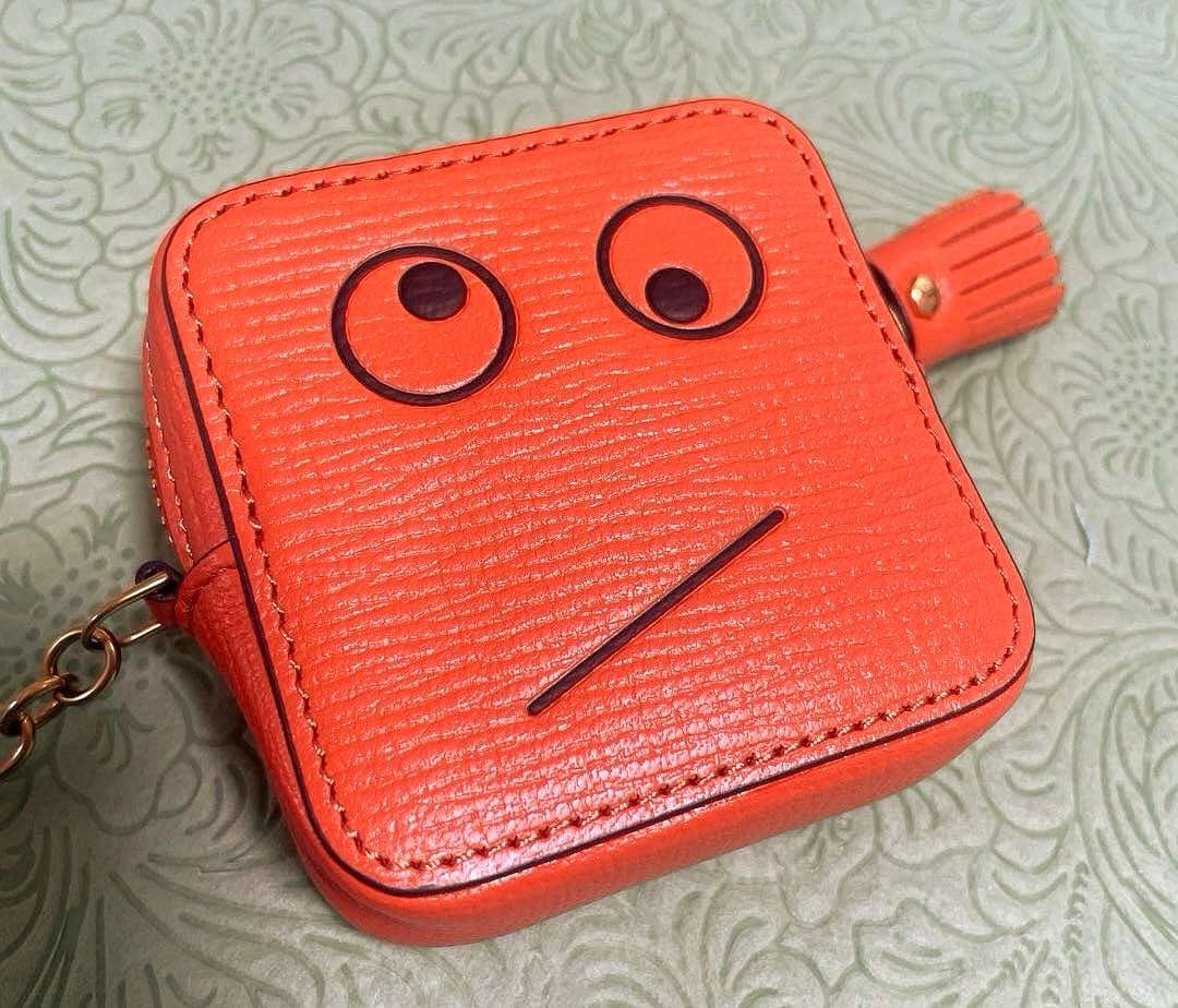 ANYA HINDMARCH アニヤハインドマーチ ケース チャーム