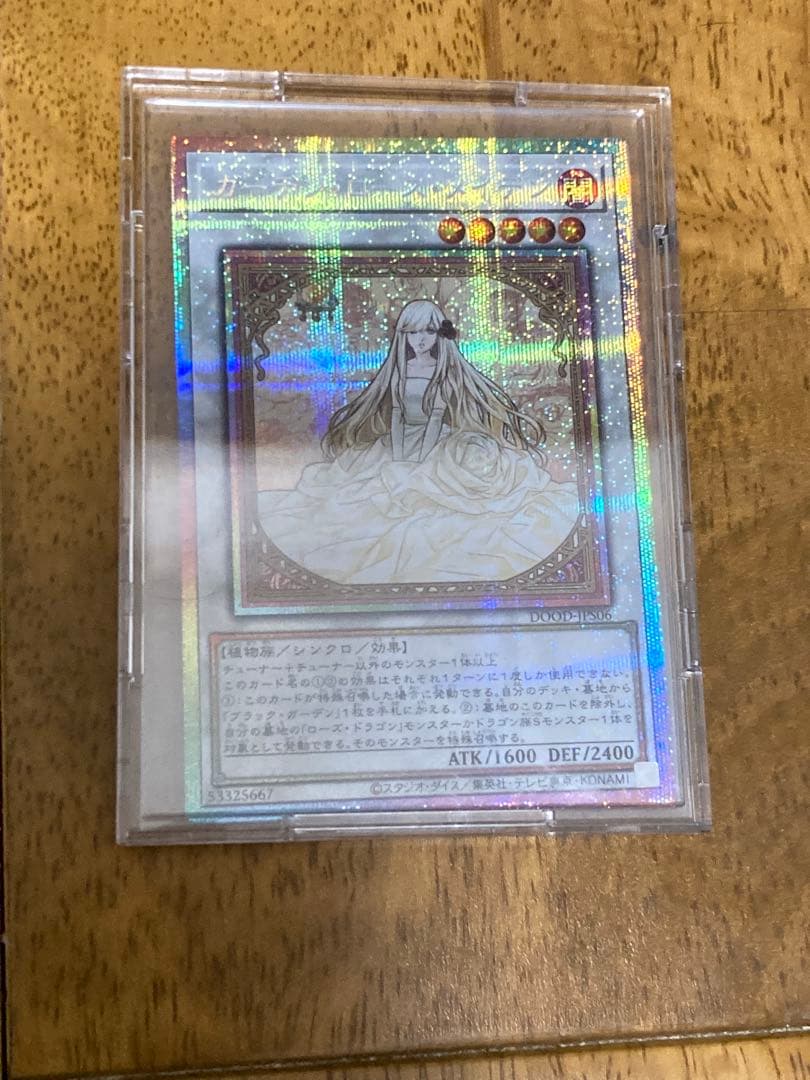 DOOD ガーデン・ローズ・メイデン　プリシク　絵違い