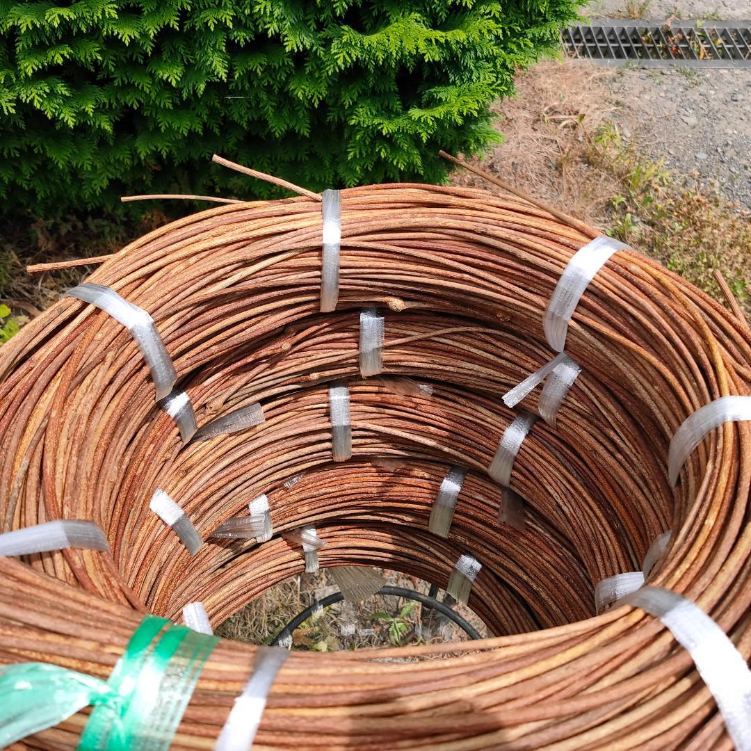 hkeplk　青森岩木山採取　あけび蔓　150cm～ 5kg