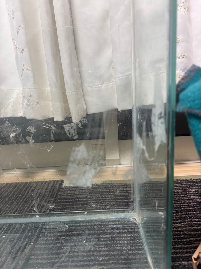 大型水槽　75~80L水槽