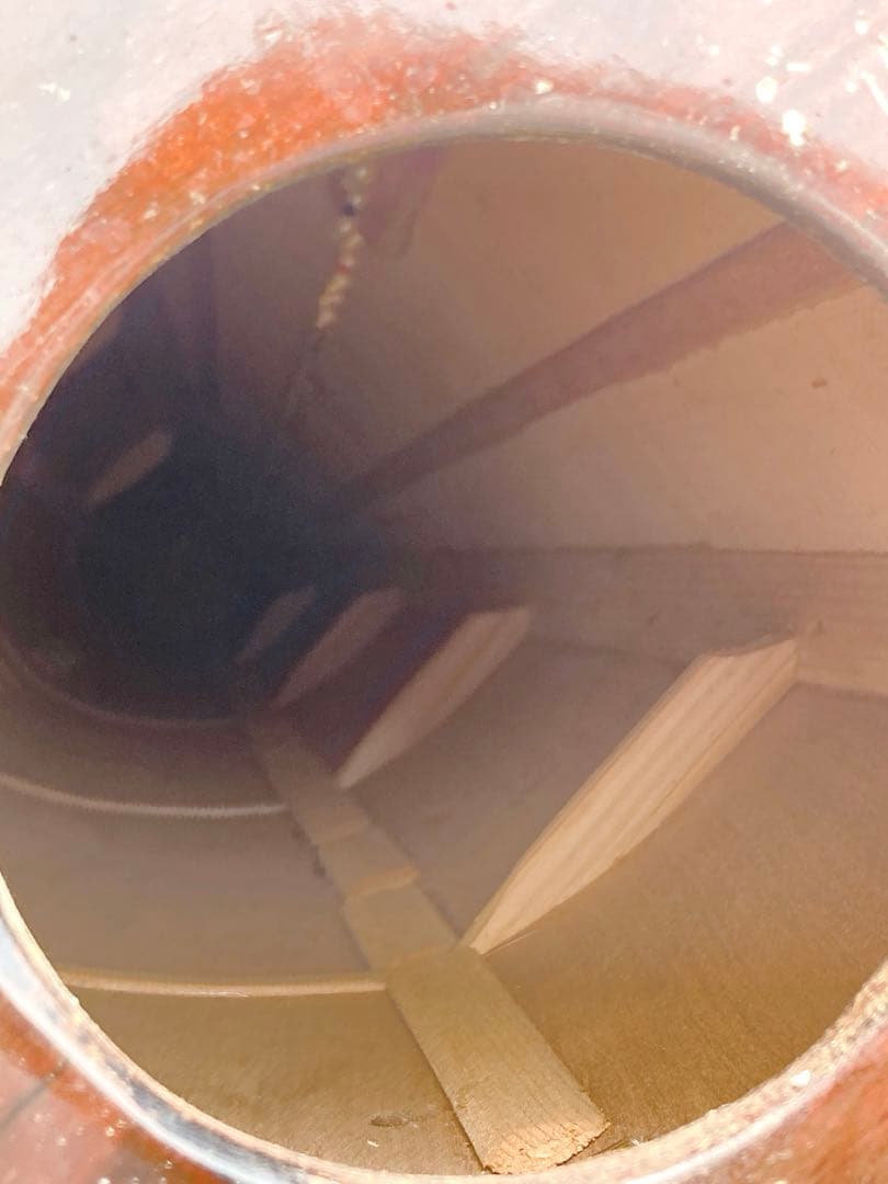 ハープ 弦楽器 楽器 ハープ本体 ケース付き オーケストラ 演奏 クラ