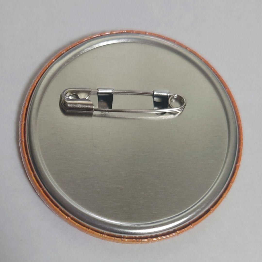 家庭教師ヒットマンREBORN!　リボーン　j-world　缶バッジ　沢田綱吉