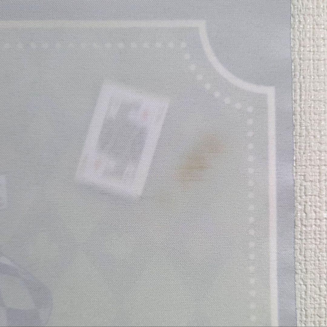 Identity バトラーズカフェ 探鉱者 タペストリー