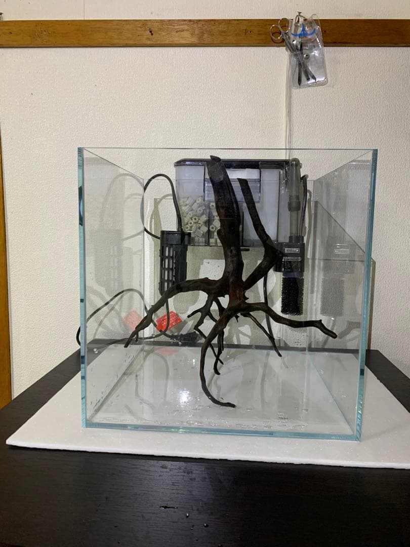 30cm 超透明ガラス水槽セット（流木付き）