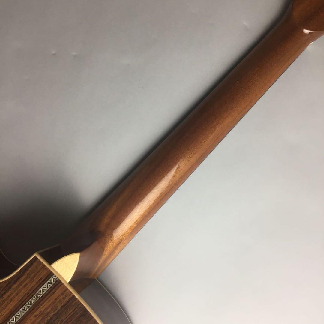 新品 ASTURIAS ソロ スタンダード C アストリアス アコギ ギター