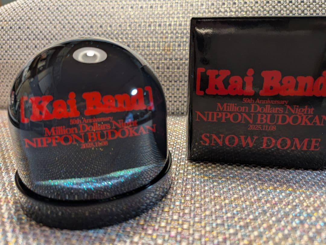 甲斐バンド　スノードーム　コンサートVIP特典 ①
