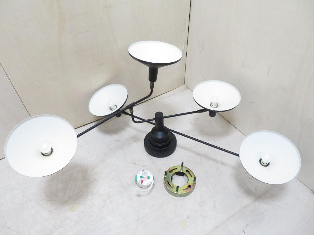 Roanoke ロアノーク シーリングライト 5灯 LED照明 可動式 モダン