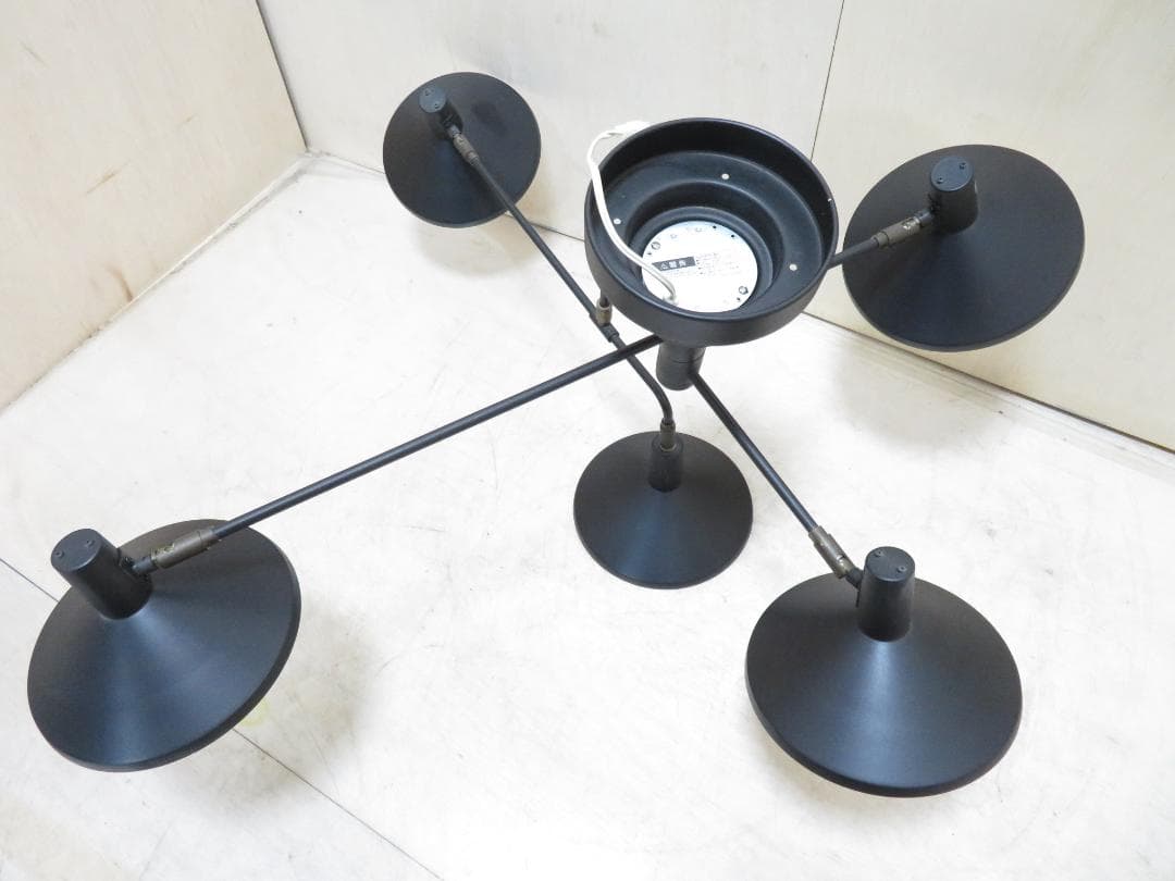 Roanoke ロアノーク シーリングライト 5灯 LED照明 可動式 モダン