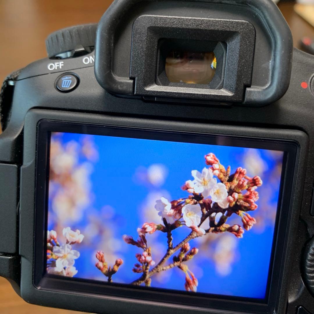 Canon EOS 60D 本体＋SIGMA高倍率ズームレンズ