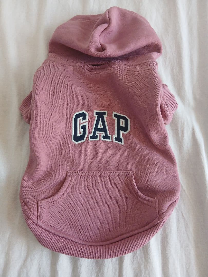 愛犬とおそろいGAPパーカー