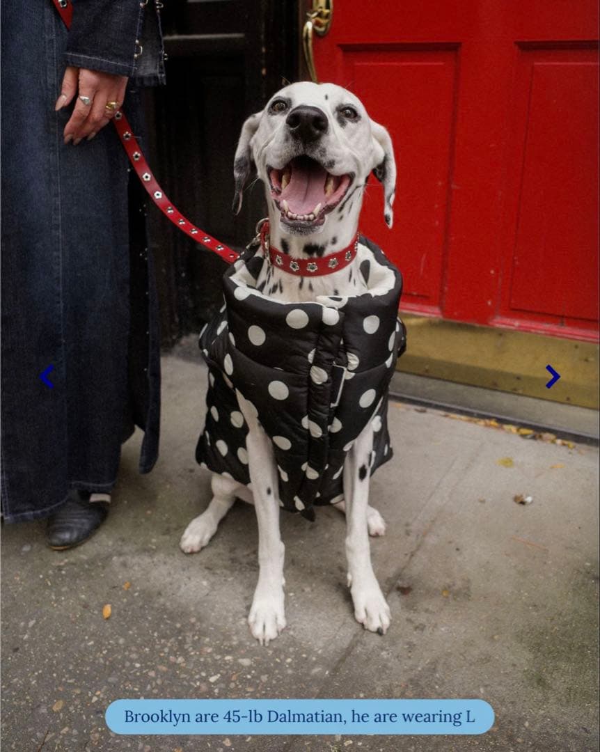 【新品未着用タグ付き】Little Beast Puffer Jacket