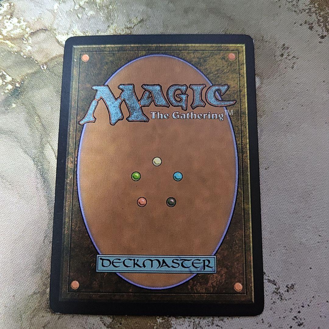 MtG 霧深い雨林 ZEN雨林 1枚