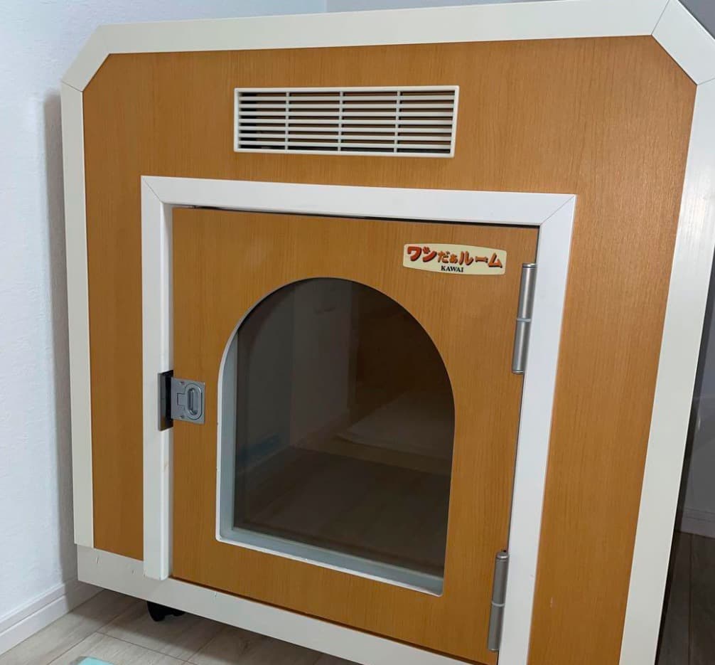 ワンだぁ〜ルーム