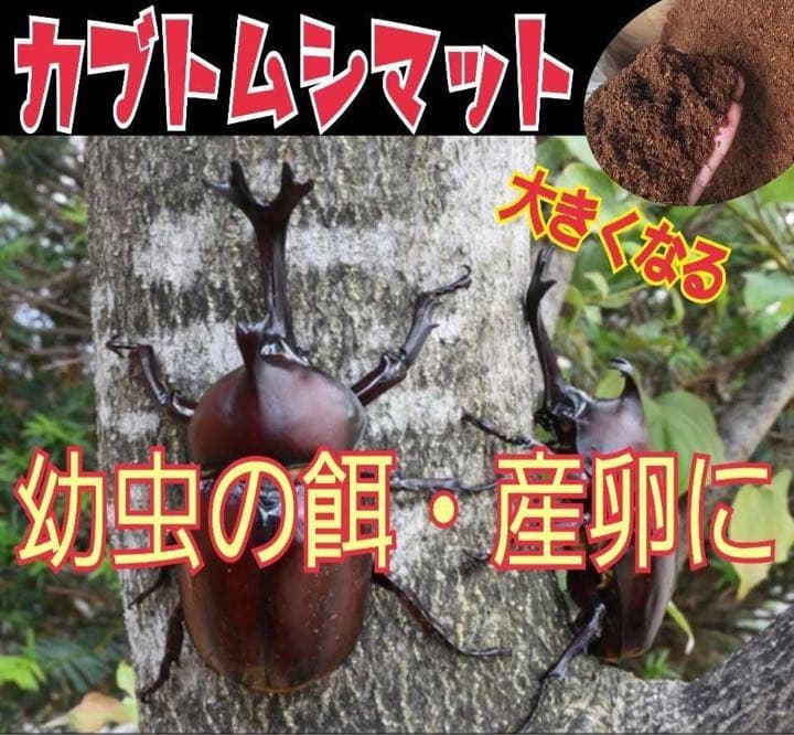 カブトムシ幼虫が大きくなる！発酵マット【60L】室内製造で雑虫混入100％なし！