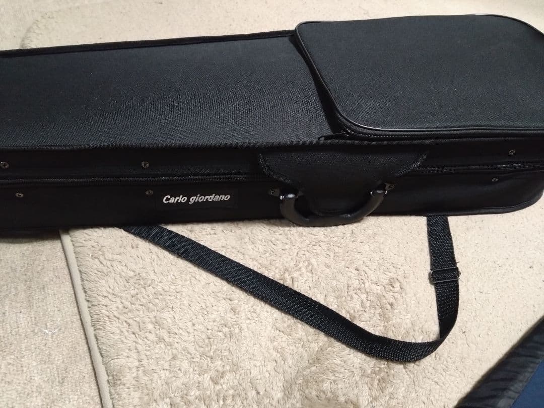 エレキバイオリン Cailo giordano