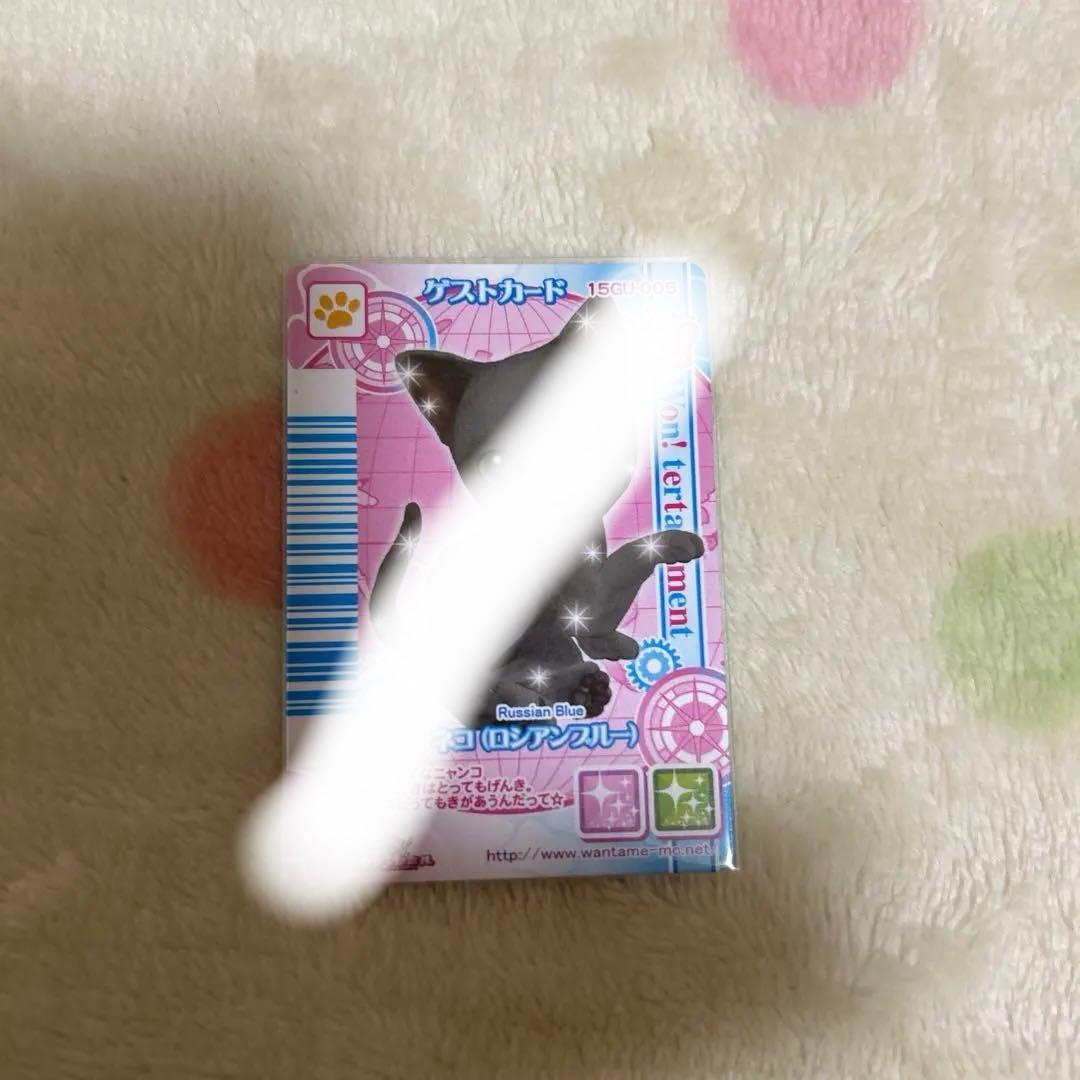 期間限定大幅値下げワンタメカード　ゲストカードネコ裏表カード