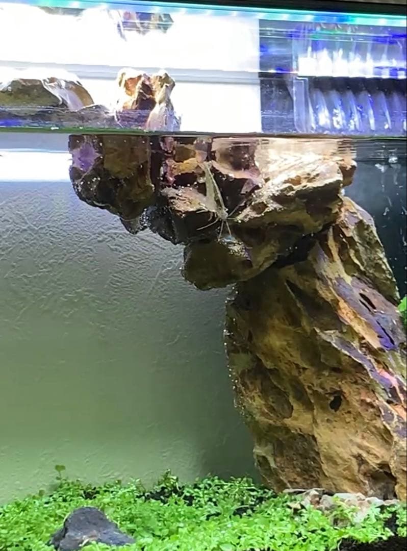 お値下げ☆ 水槽用自然石（気孔石）セット 11個　岩組みレイアウトに☆