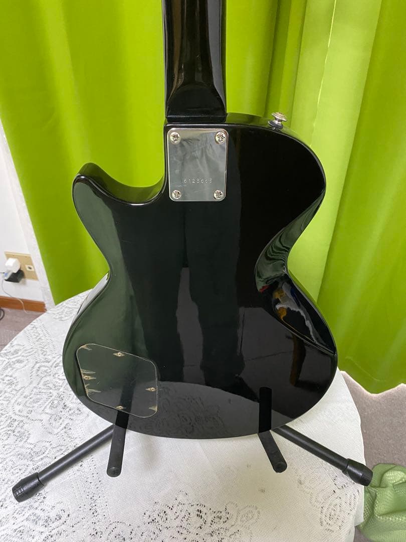 新品ハードケース付き 気分よくロックしようぜ！byESP LunaSeaモデル