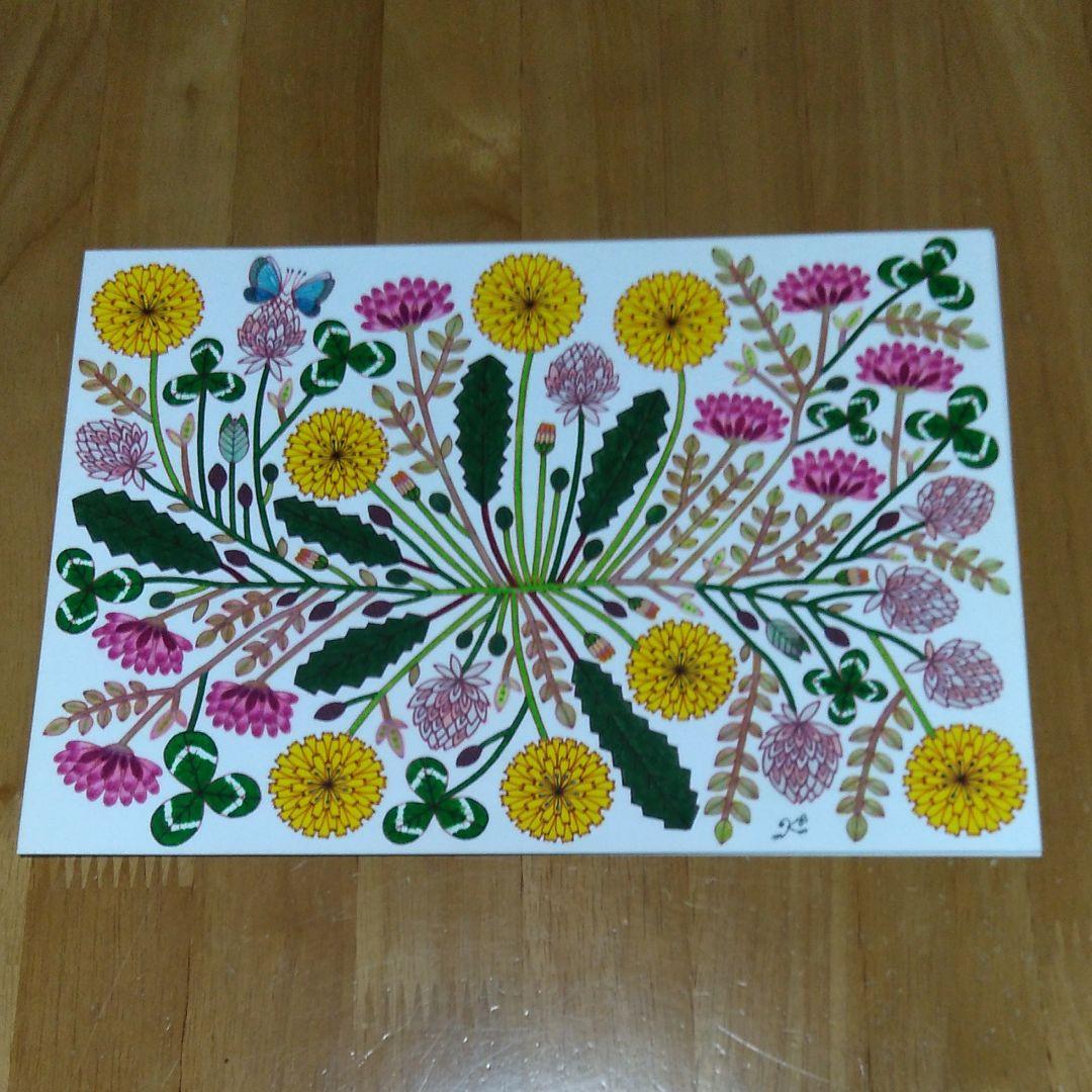 植物画たんぽぽ＊シロツメクサ＊アカツメクサ