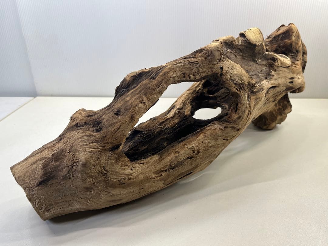 R63アク抜き済み流木 爬虫類シェルター 登り木 インテリア 生け花