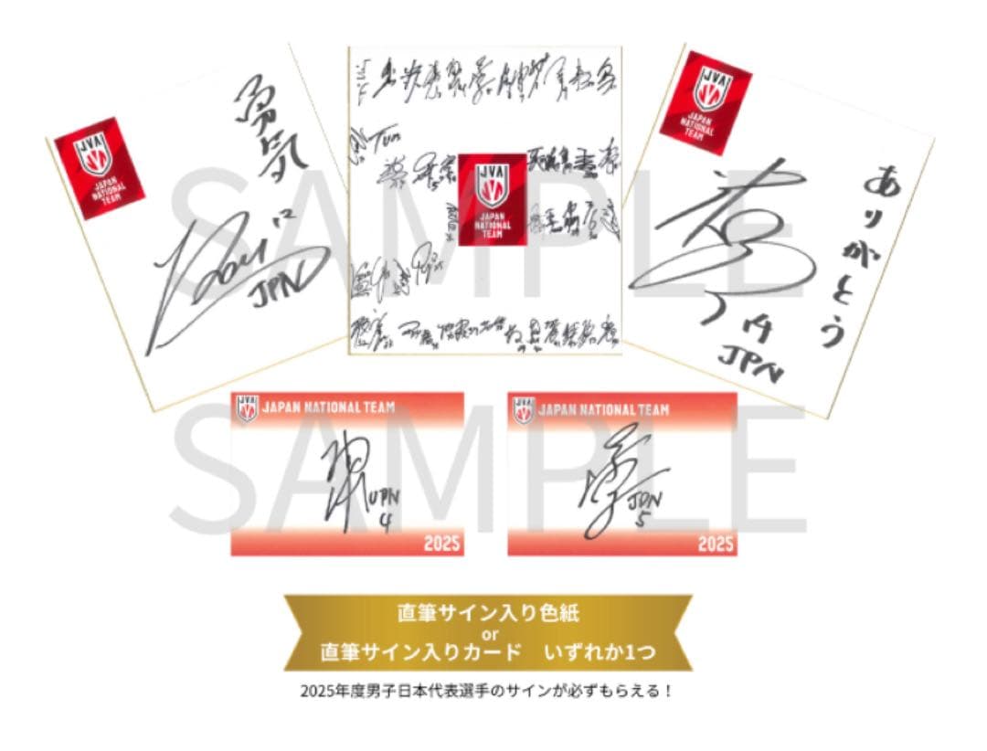 【年内セット販売】【限定】JVA バレーボール男子日本代表　福袋2026