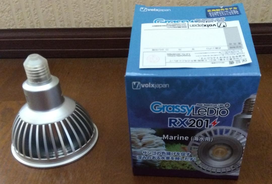 グラッシーレディオＲⅩ201ⅯＲ（マリン）ボルクスジャパン／サンゴ／LED