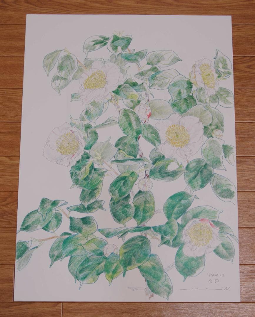中島千波　花の写生１２葉　絵画　 12枚セット　求龍堂