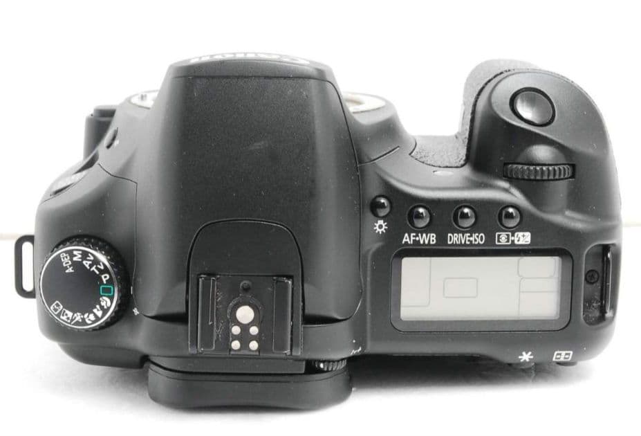 tsuribito.y.uchida様　　CANON　EOS 30D 初心者