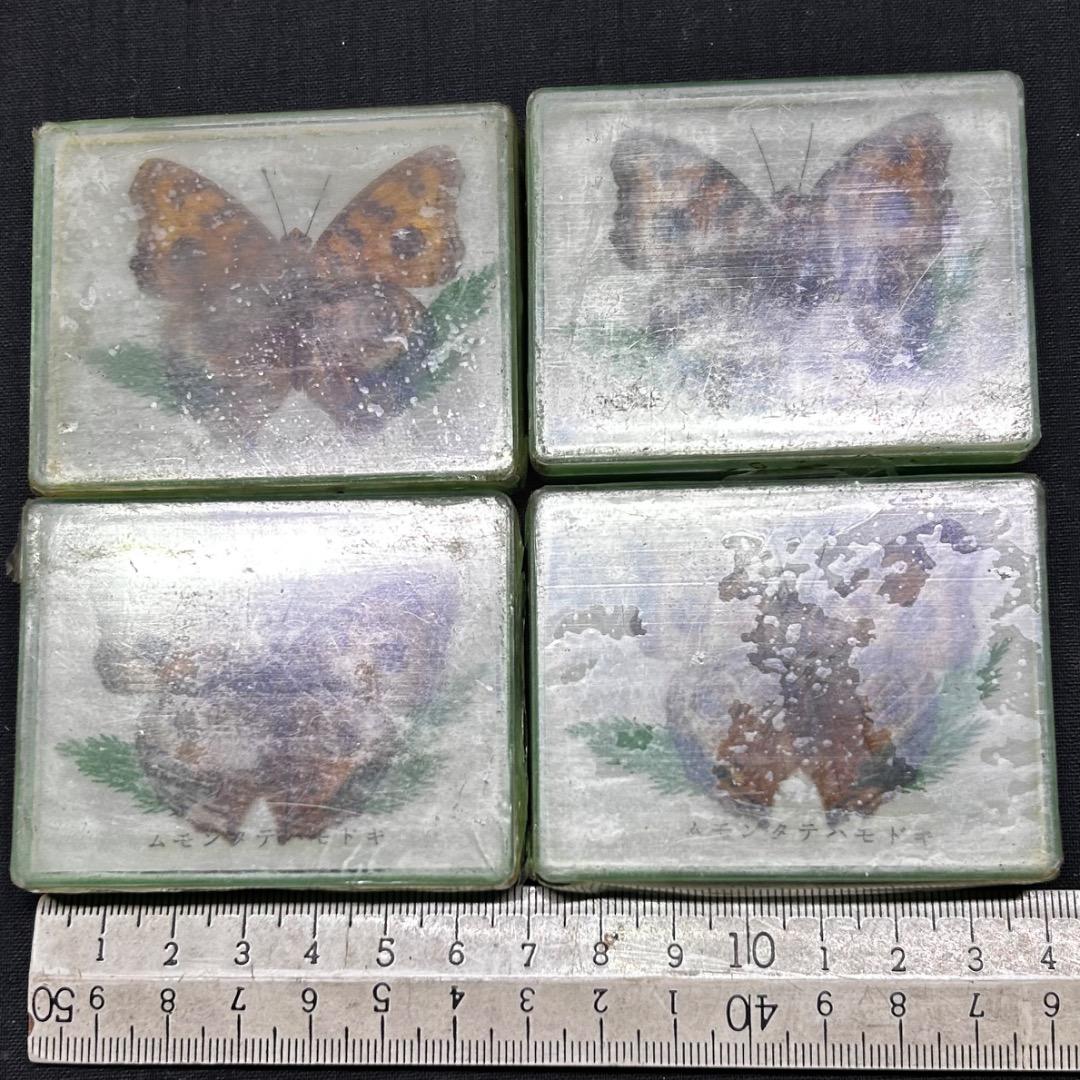 ▽Ca右318▼ レア パチンコ 特殊景品 昆虫 標本 蝶 蛾 14点まとめ