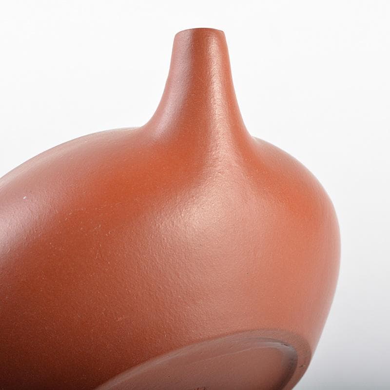 中国　紫砂　朱泥　急須　茶壷　在銘　V　R5600