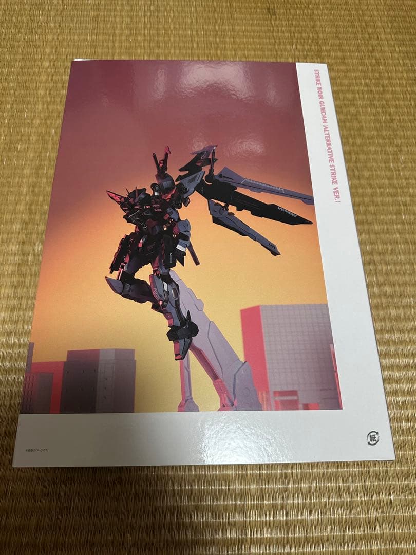 メタルビルド　ストライクノワール