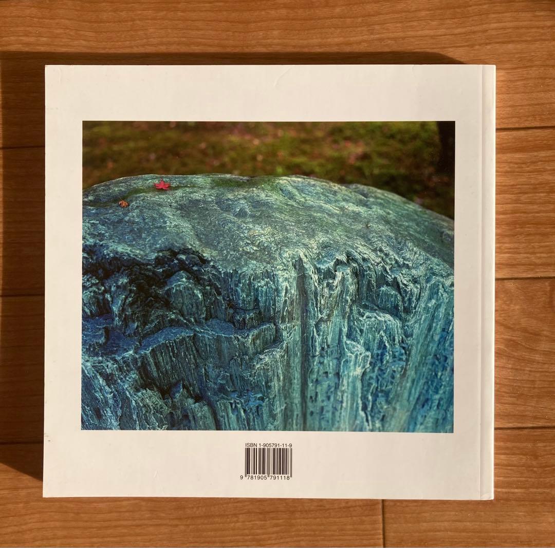 芸術写真 Pictures from the Surface of the Earth