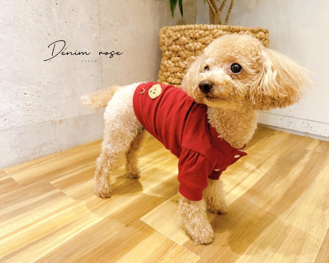 DENIM ROSE ワッペンカーディガン