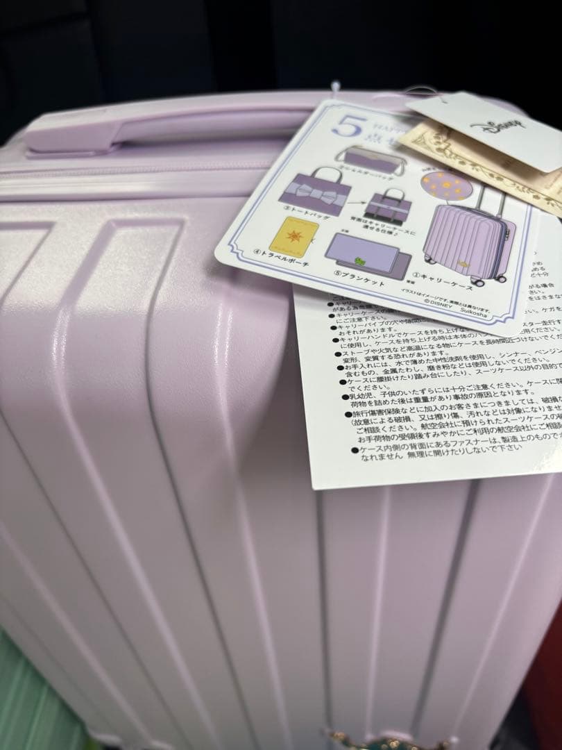 ぷ*様 ちはるコラボ　ラプンツェル　キャリー　ハッピーバッグ