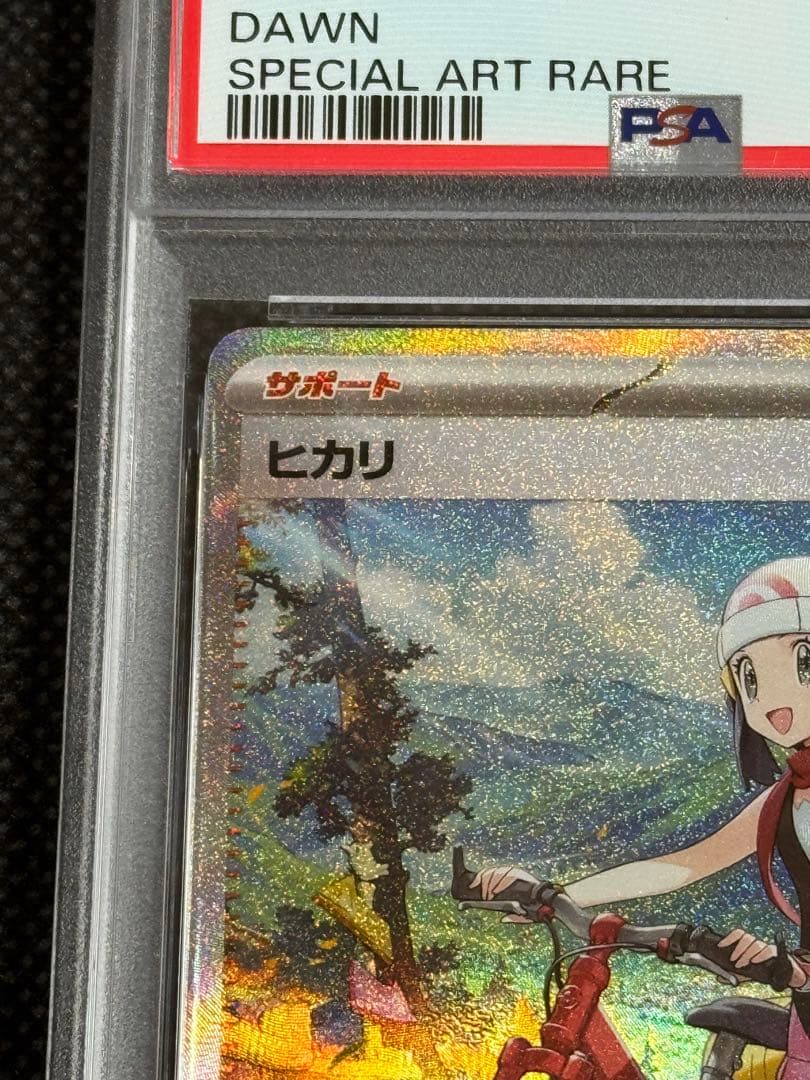 ヒカリ　sar psa10