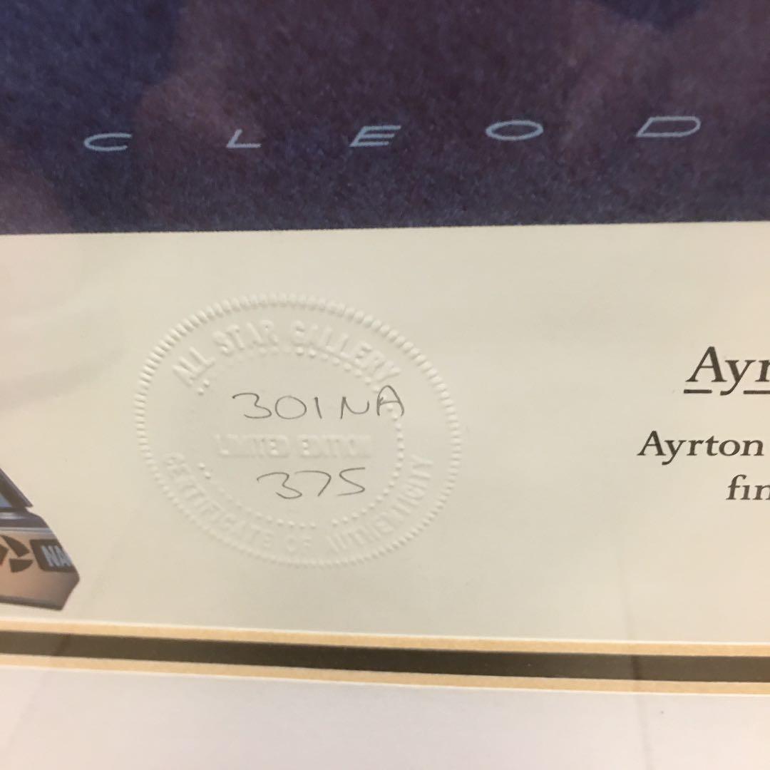 お値下げ‼️Ayrton Ｓenna da Ｓilva  Ｌast Ｖictory