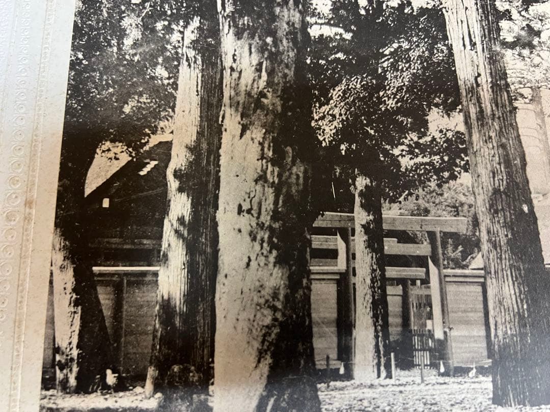 明治〜大正時代　非売品 内務省公式写真 菊花紋章 神社境内 戦前資料　アート