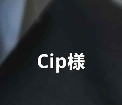 その他 cip