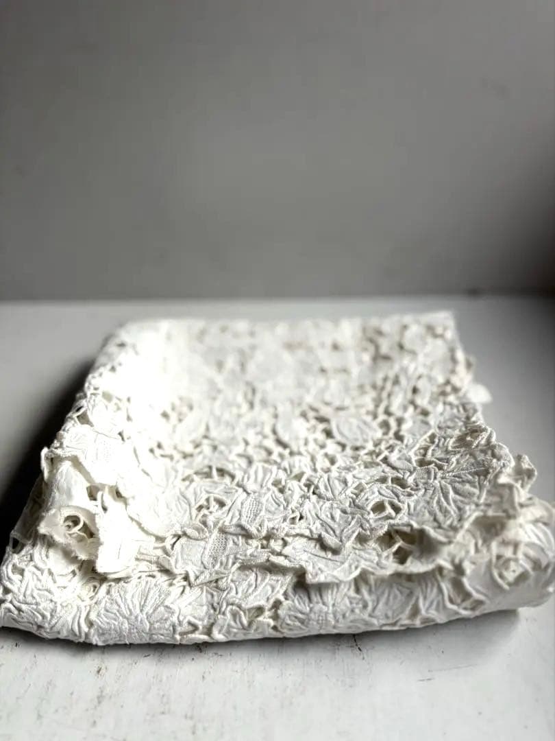 789 フランスアンティーク 美しいエンブロイダリーレース クロス 蚤の市購入