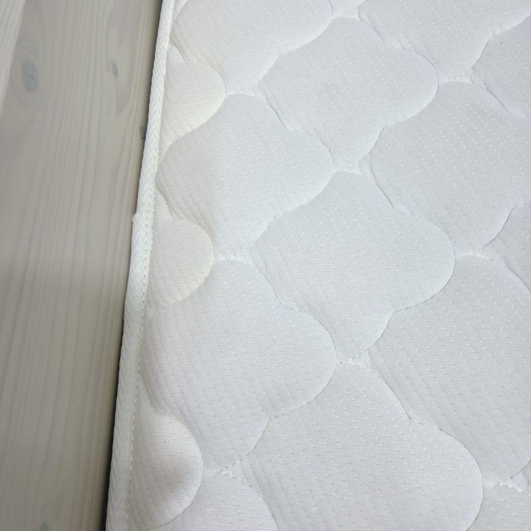 ムク　フレームのみ　3月3日配達