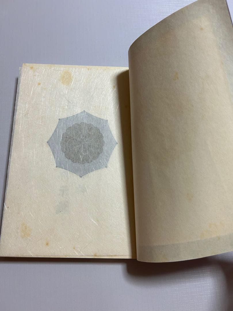 天照皇大御神司命神 岩長姫命神示録