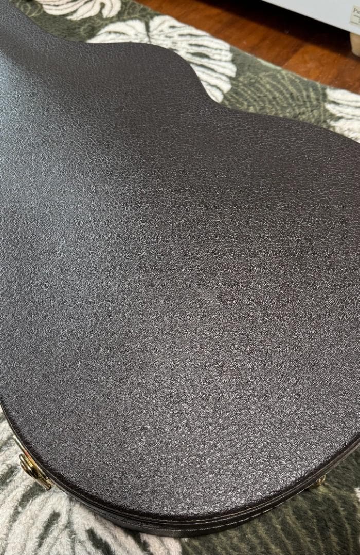 Taylor エレアコ T5 Pro TB