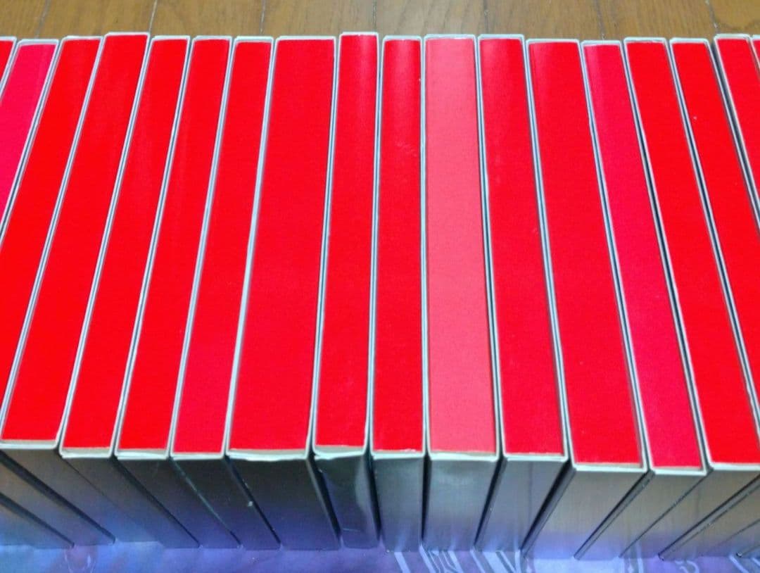 西尾維新 物語シリーズ　28冊　＋　おまけ本 2冊　合計30冊　セット　小説